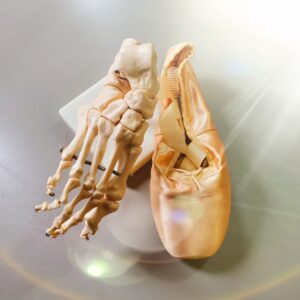 バレエの身体の解剖学、上手に踊る為のポイントをバレエボディトレーナーが解説